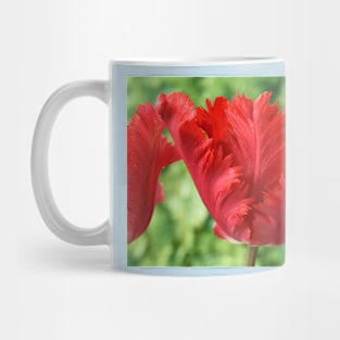 Tulipa &#39;Garden Fire&#39; Parrot Tulip Mug